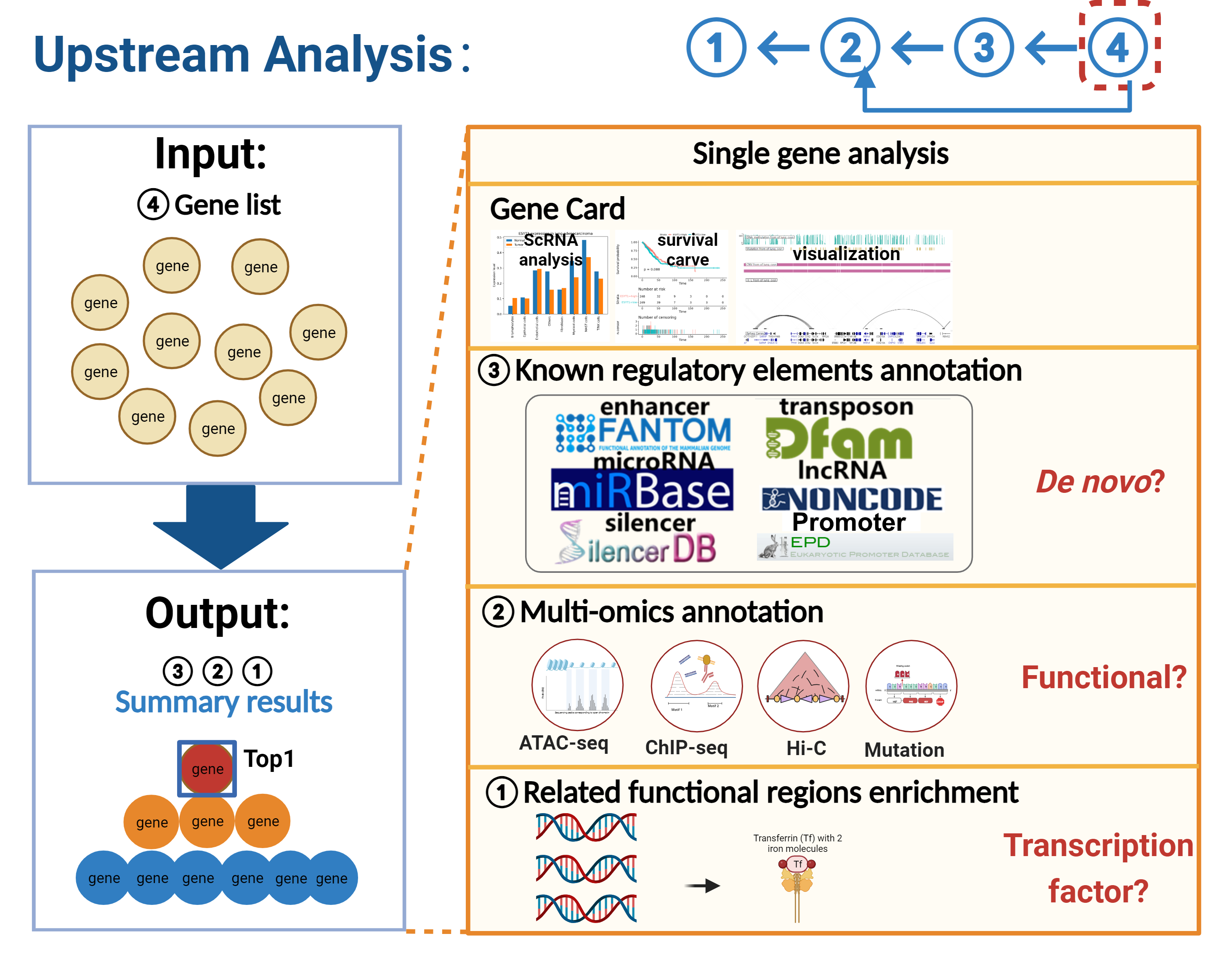 This figure shows the Work Flow of Integration Tool by Genes